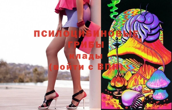 индика Каменка