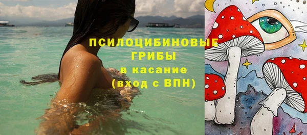гашик Мегион