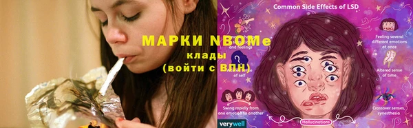 индика Каменск-Шахтинский