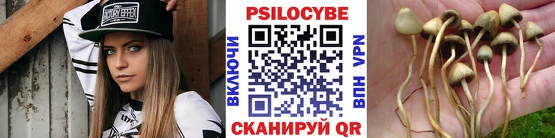 Галлюциногенные грибы мицелий Электроугли